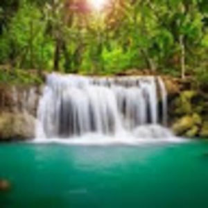 Meet your Posher, Alisha